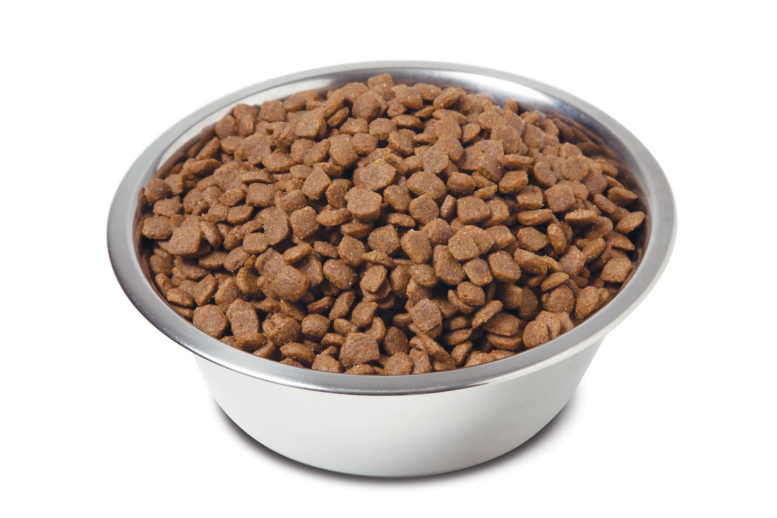 dynamite dog food dynamite dog food